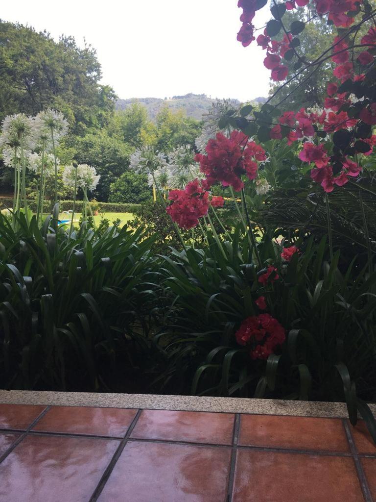 Green Villa Geres Valdosende Ngoại thất bức ảnh